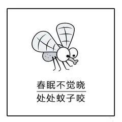 晚上睡覺(jué)蚊子嗡嗡叫？只需幾招，就能把蚊子團(tuán)滅！